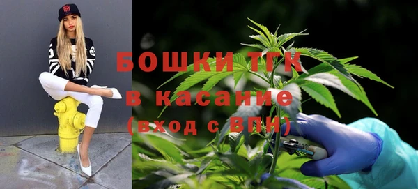 стафф Абдулино