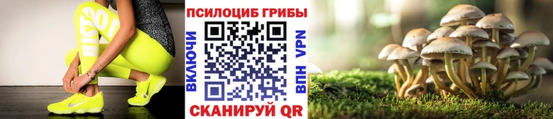 Псилоцибиновые грибы Psilocybe  хочу   Егорьевск 